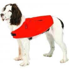 Hunting & Shooting - Hunting Dog Supplies