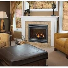 Napoleon BGD36E Electronic Ignition Direct Vent Natural Gas Fireplace