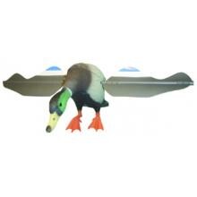 Expedite The Lucky Duck Combo Pack, Drake