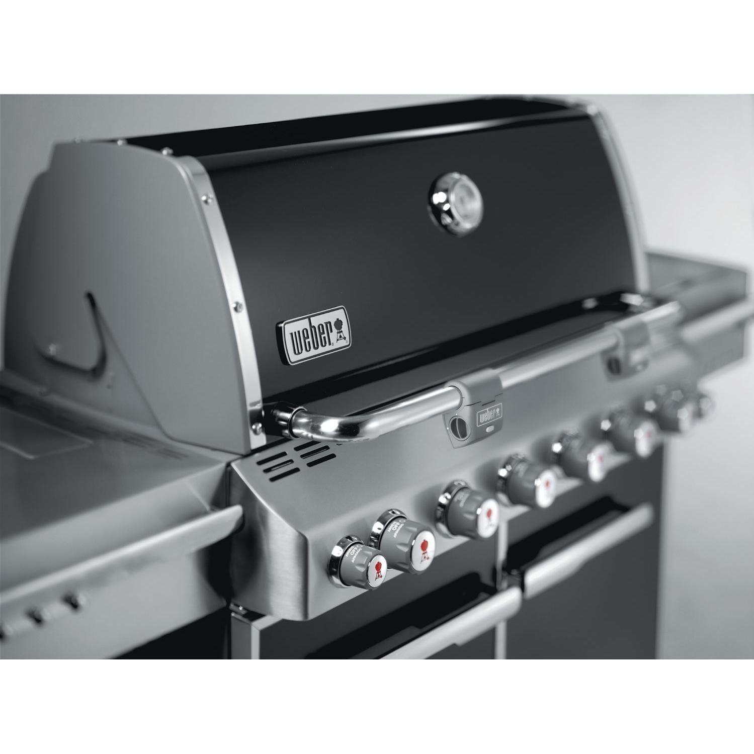 Weber Gas Grills Summit E650 Propane Gas BBQ Grill W/ Rotisserie