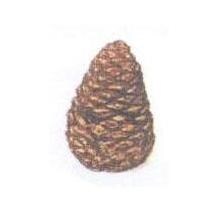 Rasmussen Pine Cone - 4-Inches - Medium image