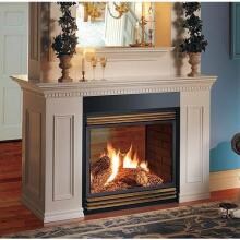 Napoleon BGD40 Direct Vent Natural Gas See-Thru Fireplace