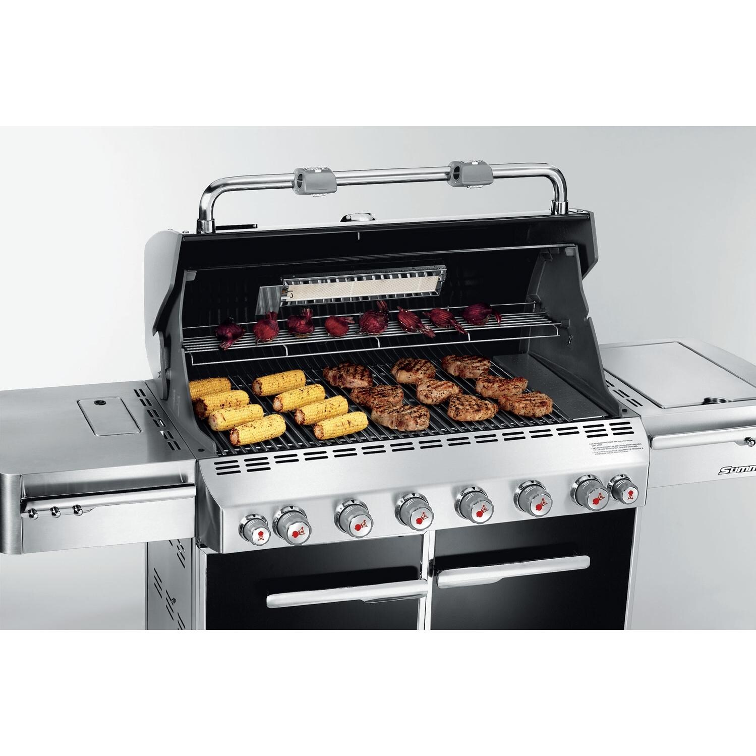 er Gas Grills Summit E650 Propane Gas BBQ Grill W/ Rotisserie