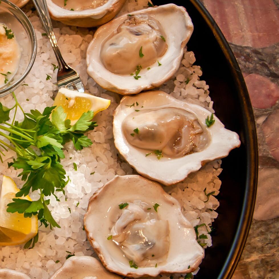 Loftin Ceramic Oyster Shells Set Of 12 BBQ Guys