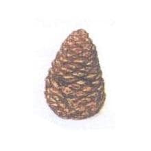 Rasmussen Pine Cone - 4 Inches - Medium