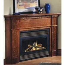 Napoleon BGD34 Electronic Ignition Direct Vent Natural Gas Fireplace