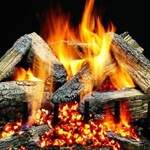 Firegear
