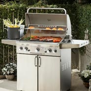 Propane Gas Grills