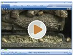 Gas Logs