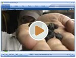 Gas Logs