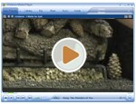 Gas Logs