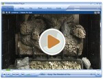 Gas Logs