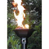 Torches Torches