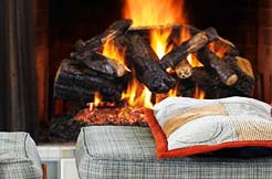 Why Buy Premium Gas Logs