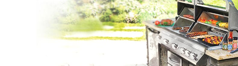 Napoleon Gourmet Grills Napoleon Gourmet Grills