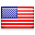 USA flag icon