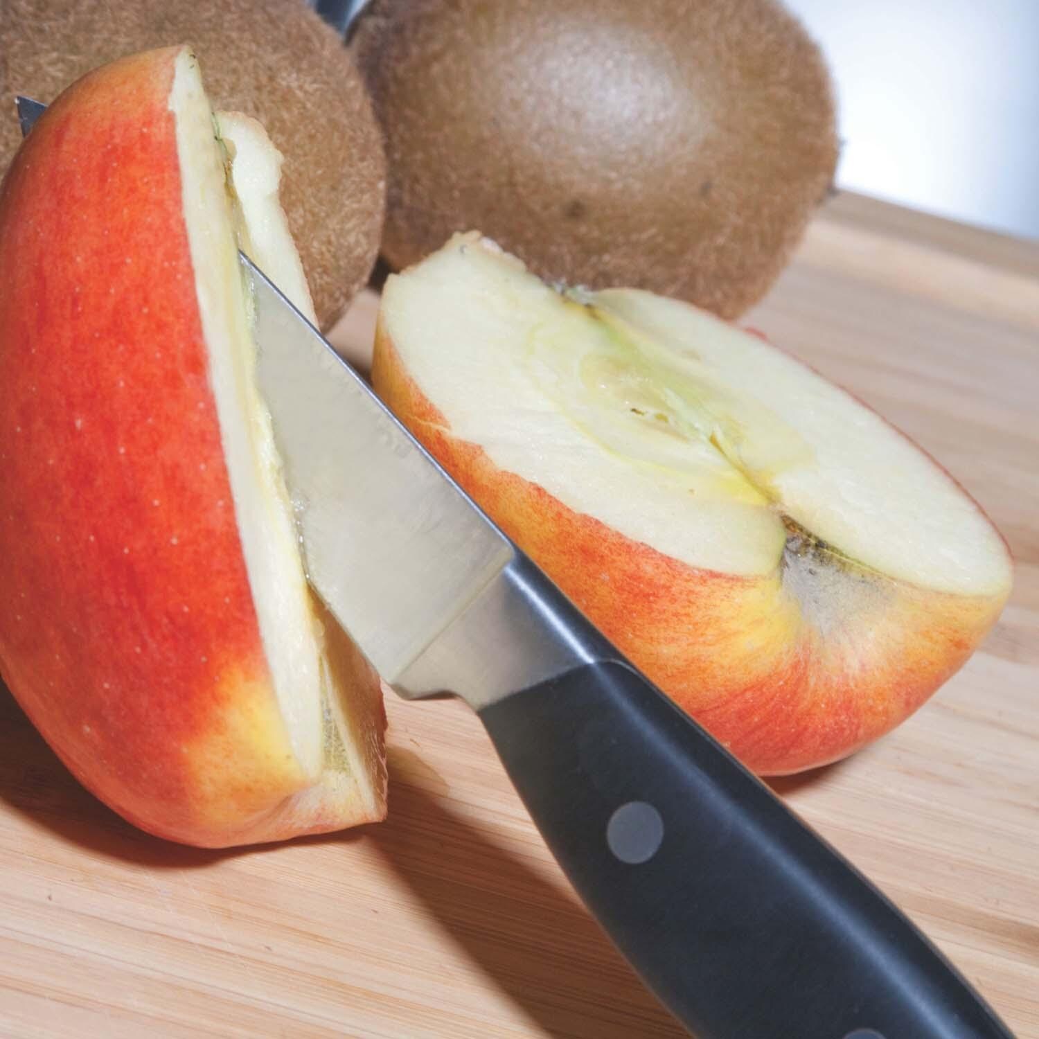 BergHOFF Forged 9pc Stainless Steel Knife Block Set with 3-in-1 Sharpener thumbnail