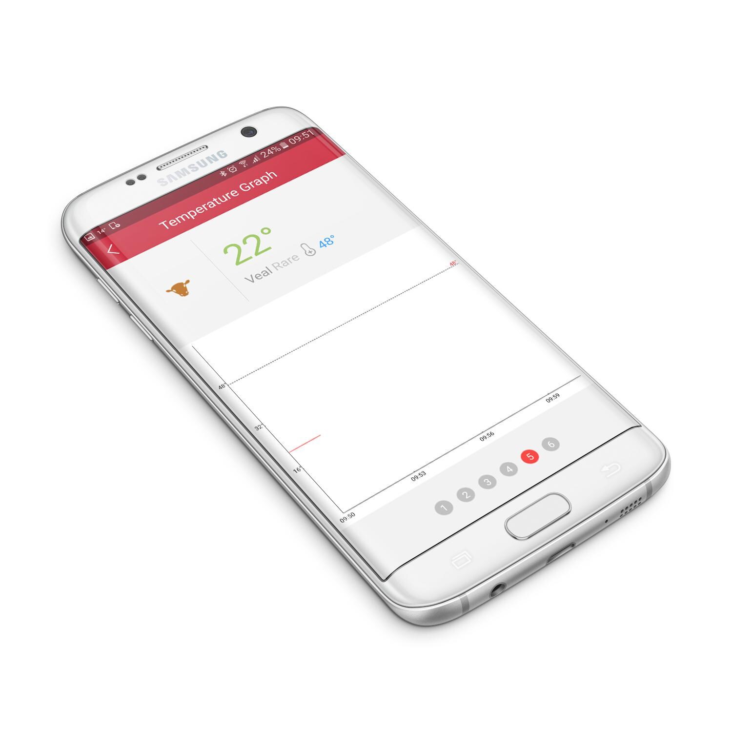 GrillEye App Temperature Graph thumbnail