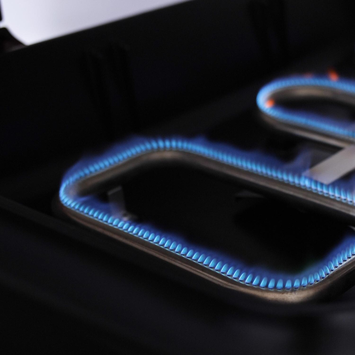 Everdure By Heston Blumenthal HBG2RUS FORCE 48-Inch 2-Burner Propane Gas Grill With Stand - Burners thumbnail