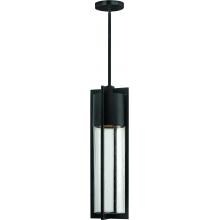 Hinkley Lighting Shelter One Light 22-Inch LED Dark Sky Outdoor Hanging Lantern - Black - 1322BK-LED