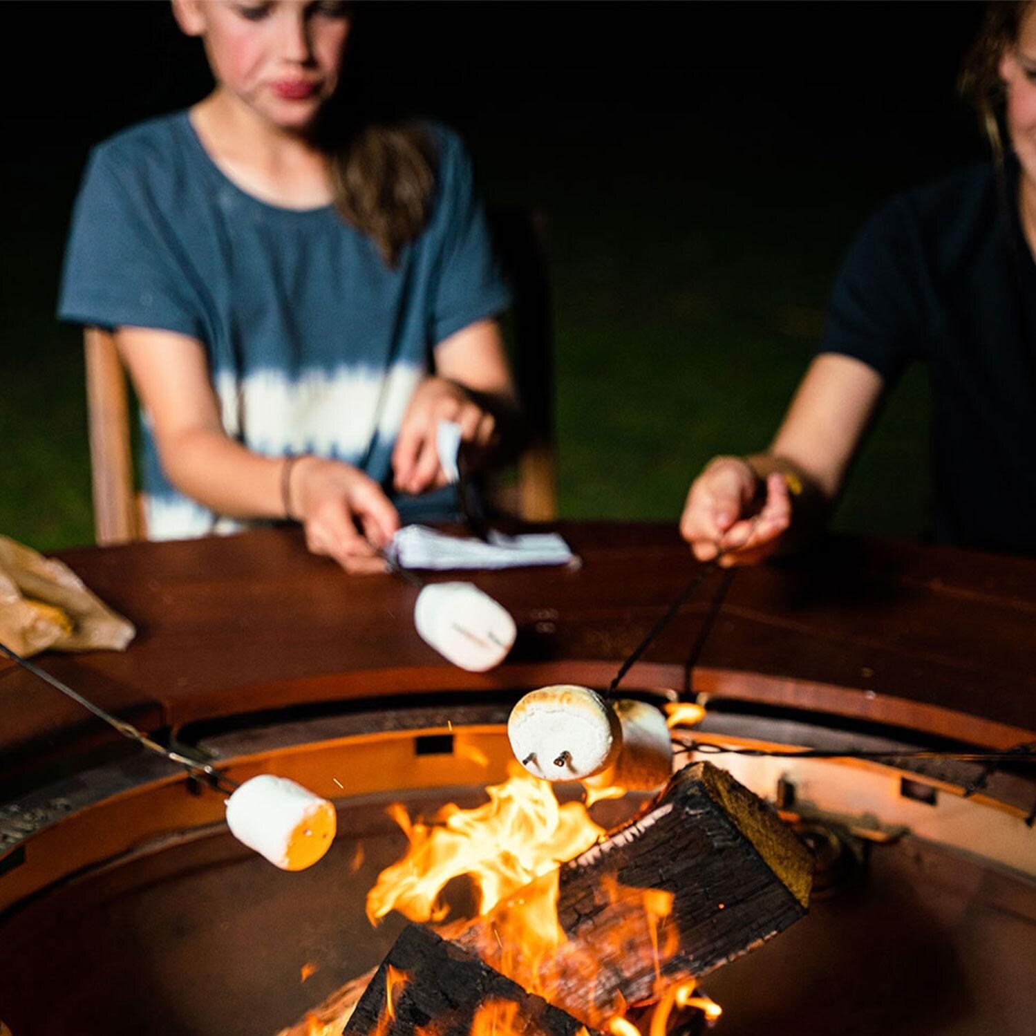 Gather Grills T1000-Starter-Black Tailgater 28-Inch Wood Fired Grill W/ Starter Package thumbnail