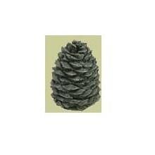 Hargrove 1205-BX Medium Decorative Pine Cone image