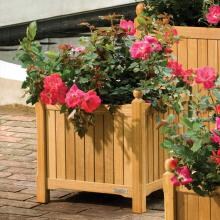 Natural Shorea 19-Inch Square Planter Box By Oxford Garden image