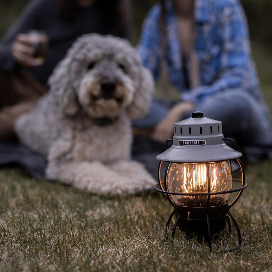 Barebones Living LIV-182 Railroad Lantern - Slate Gray - Flame On Seated with Dog thumbnail