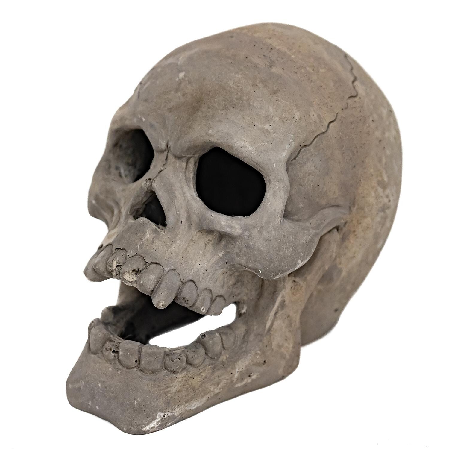 Skull Ornament Right Front View thumbnail