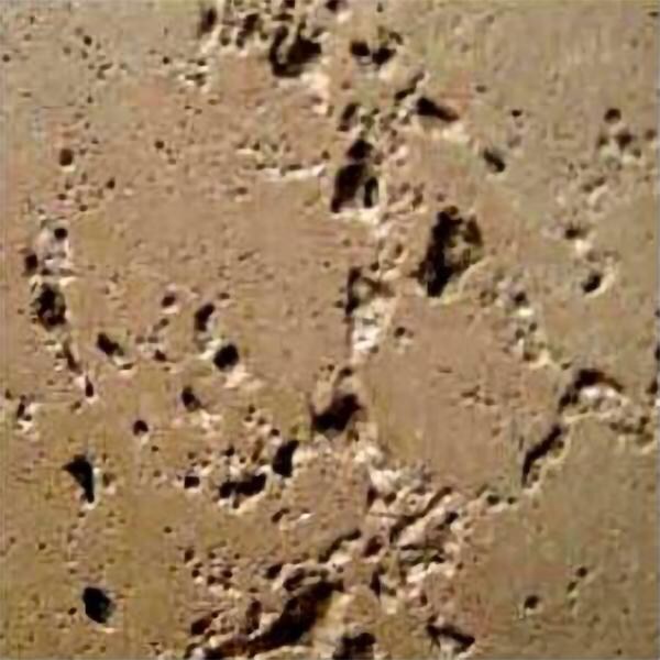 American Fyre Designs 8017RV-CB Phoenix Chimney Rain Vent Cap - Cafe Blanco Finish Detail thumbnail