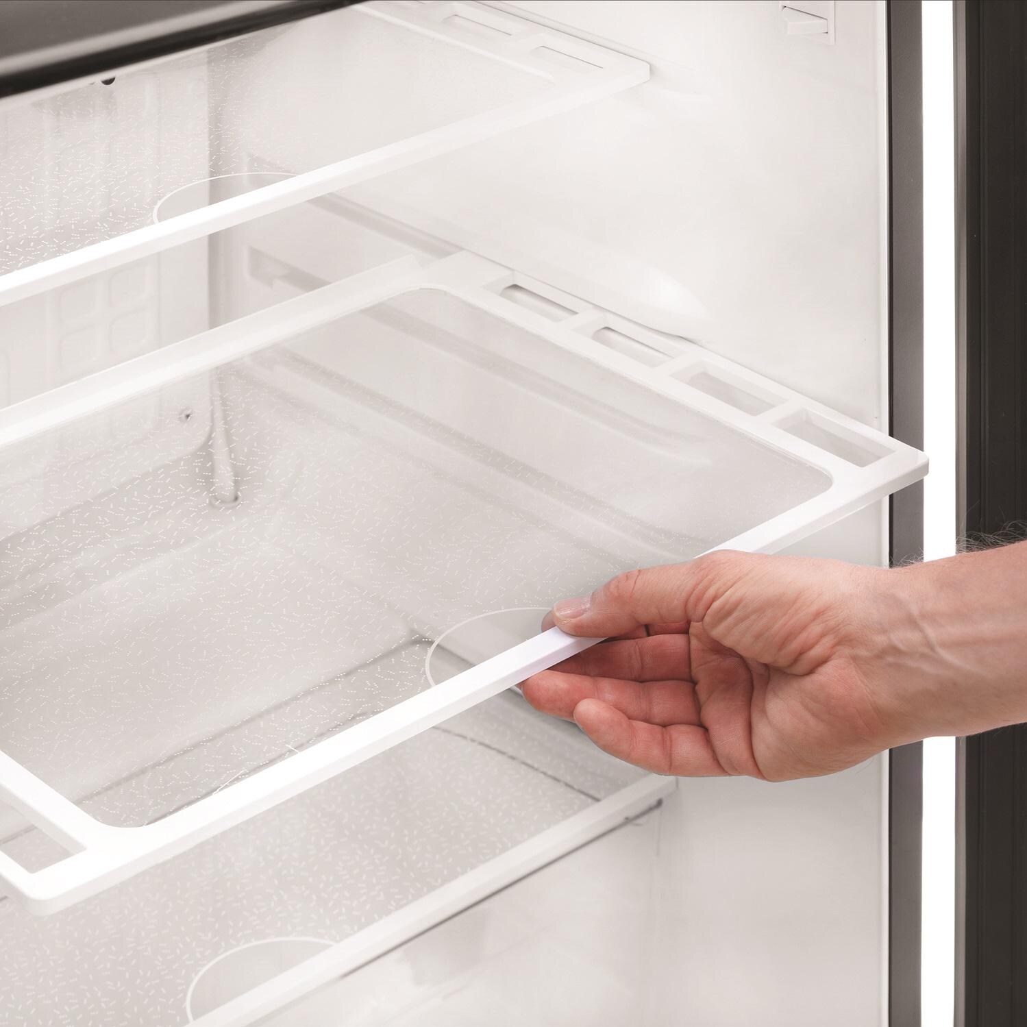 Danby 4.4 Cu. Ft. Compact All Refrigerator: Shelf View thumbnail