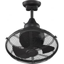 Fanimation Extraordinaire 18 Inch Outdoor Ceiling Fan - Black image