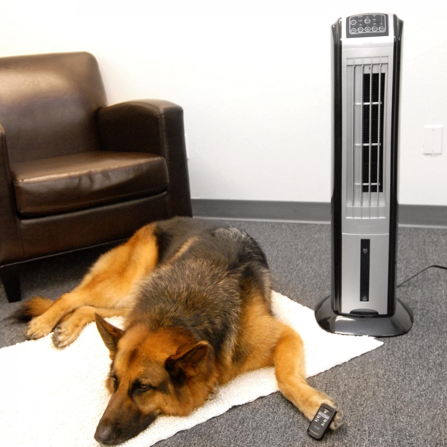 NewAir 75 Sq. Ft. Evaporative Air Cooler With Ionizer And Remote - AF-310 - In Use thumbnail