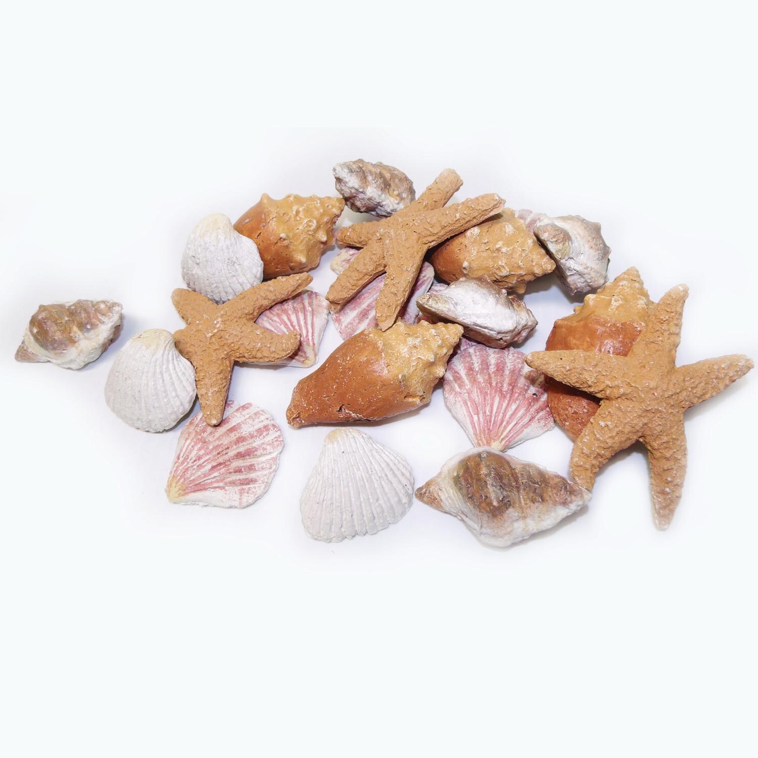 Enhance A Fire Shells & Starfish thumbnail