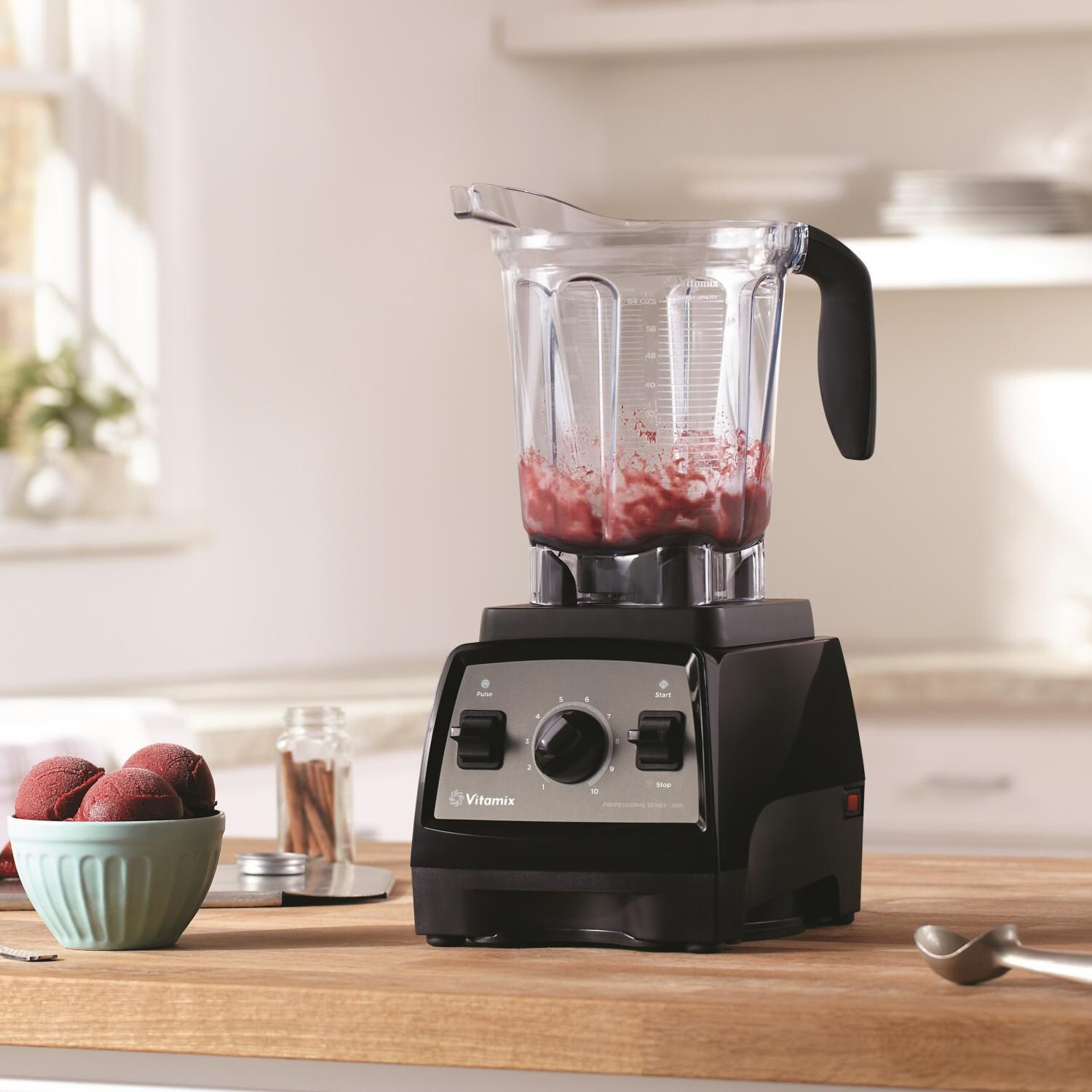 Vitamix Professional G-Series 300 Blender - Onyx - 1948