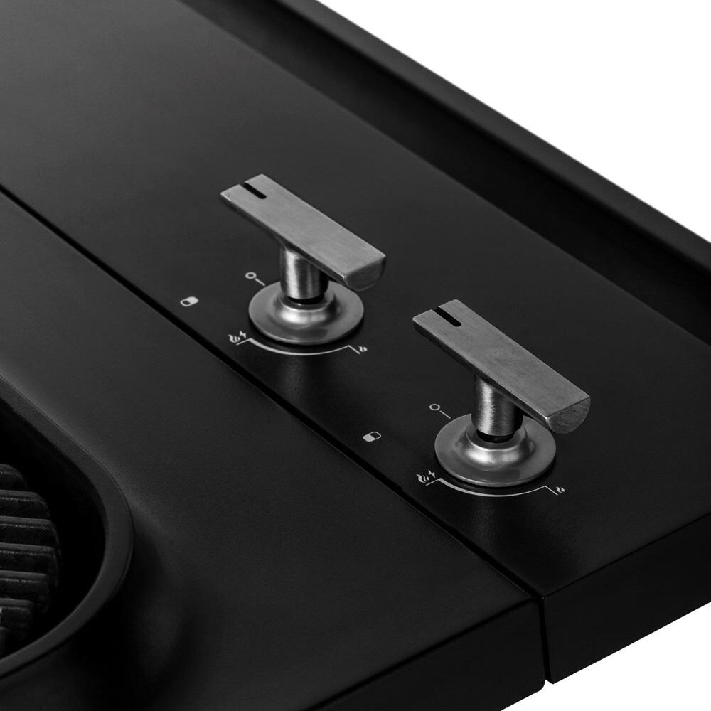 Everdure HBG2BUS Everdure FORCE 48-in 2 Burner Propane Grill w/ Stand - Black - HBG2BUS - Knobs - Detail thumbnail