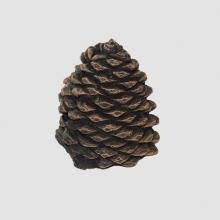 Hargrove 1203-BX Small Decorative Pine Cone