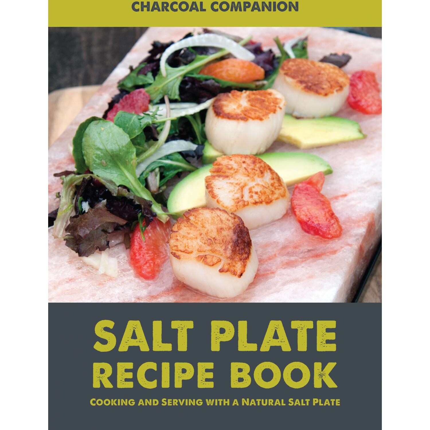Himalayan Salt Plate Recipe Book BBQGuys