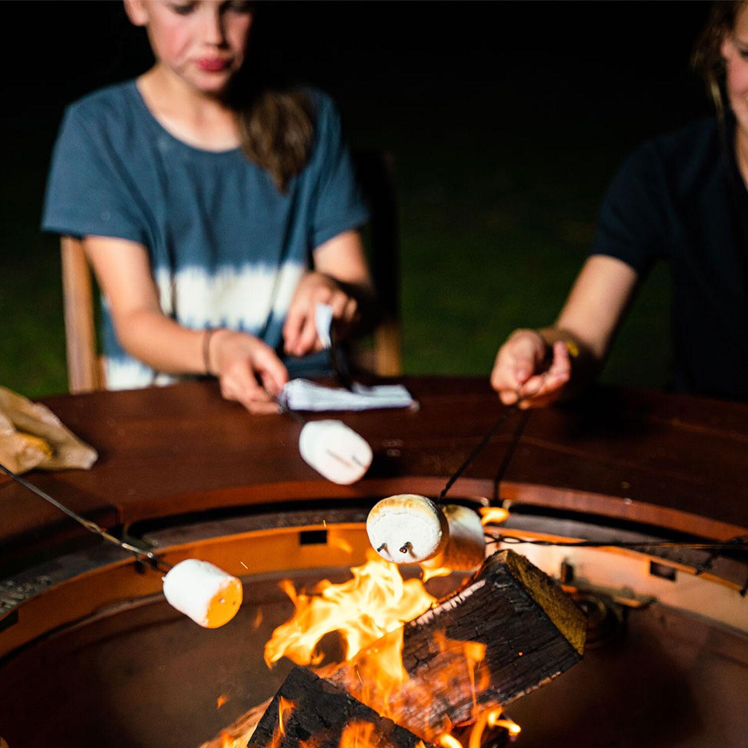 Gather Grills Tailgater 28-Inch Wood Fired Grill W/ Starter Package - T01000601