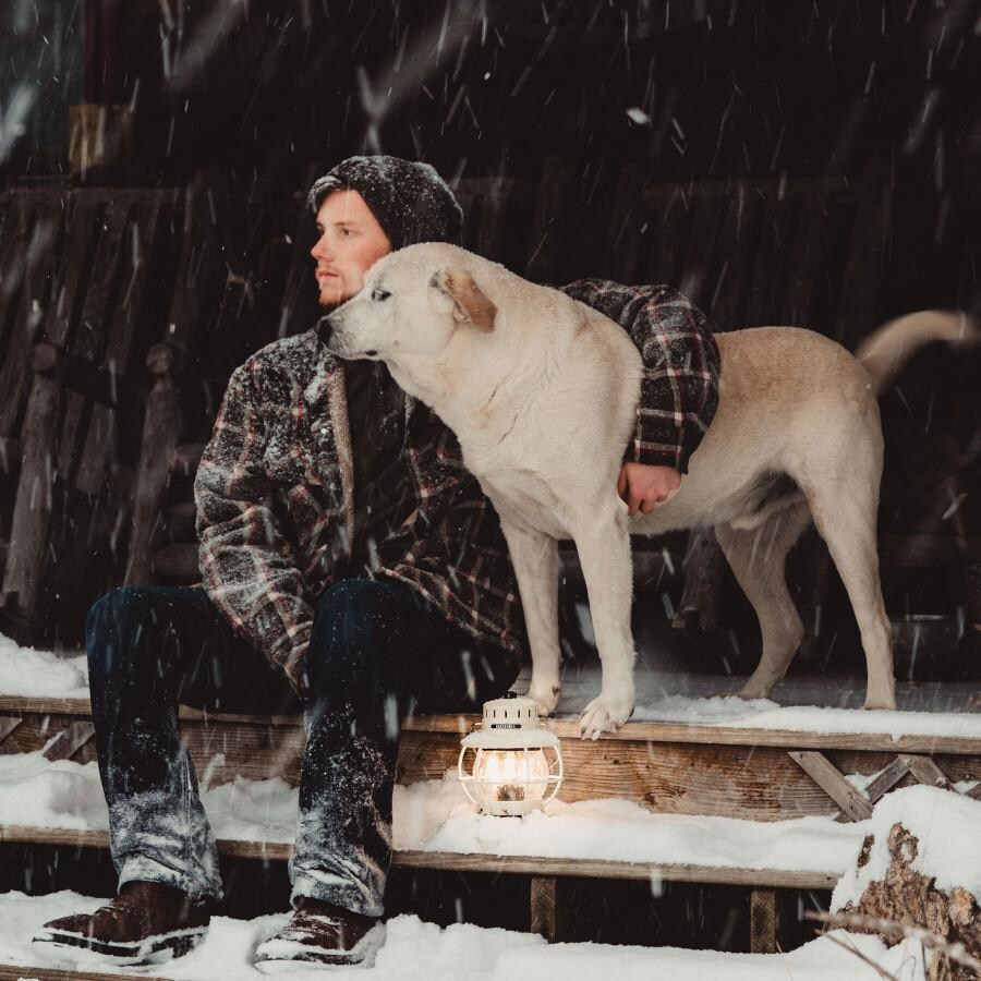 Barebones Living LIV-180 Railroad Lantern - Vintage White - with Dog thumbnail