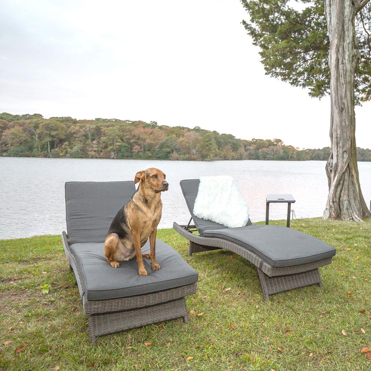 Palm Wicker Multi-Position Chaise Lounge in Canvas Coal By KETTLER - Dog Sitting on Chaise Lounge - Lifestyle thumbnail