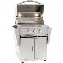 Blaze Professional 27-Inch 2-Burner Propane Gas Grill With Rear Infrared Burner image