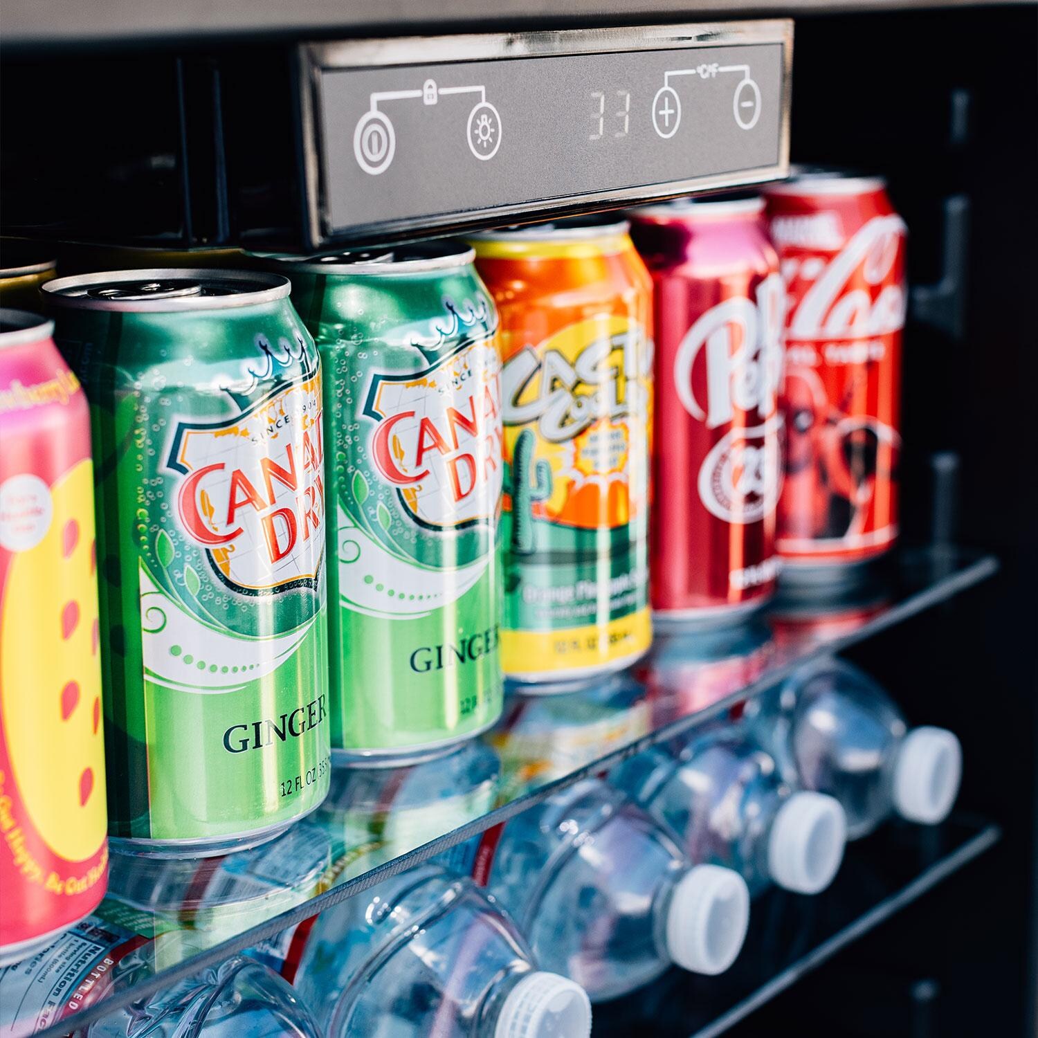 Summerset RFR-24S-A 24 Inch Outdoor Rated Refrigerator - Temperarure Controls - Detail thumbnail