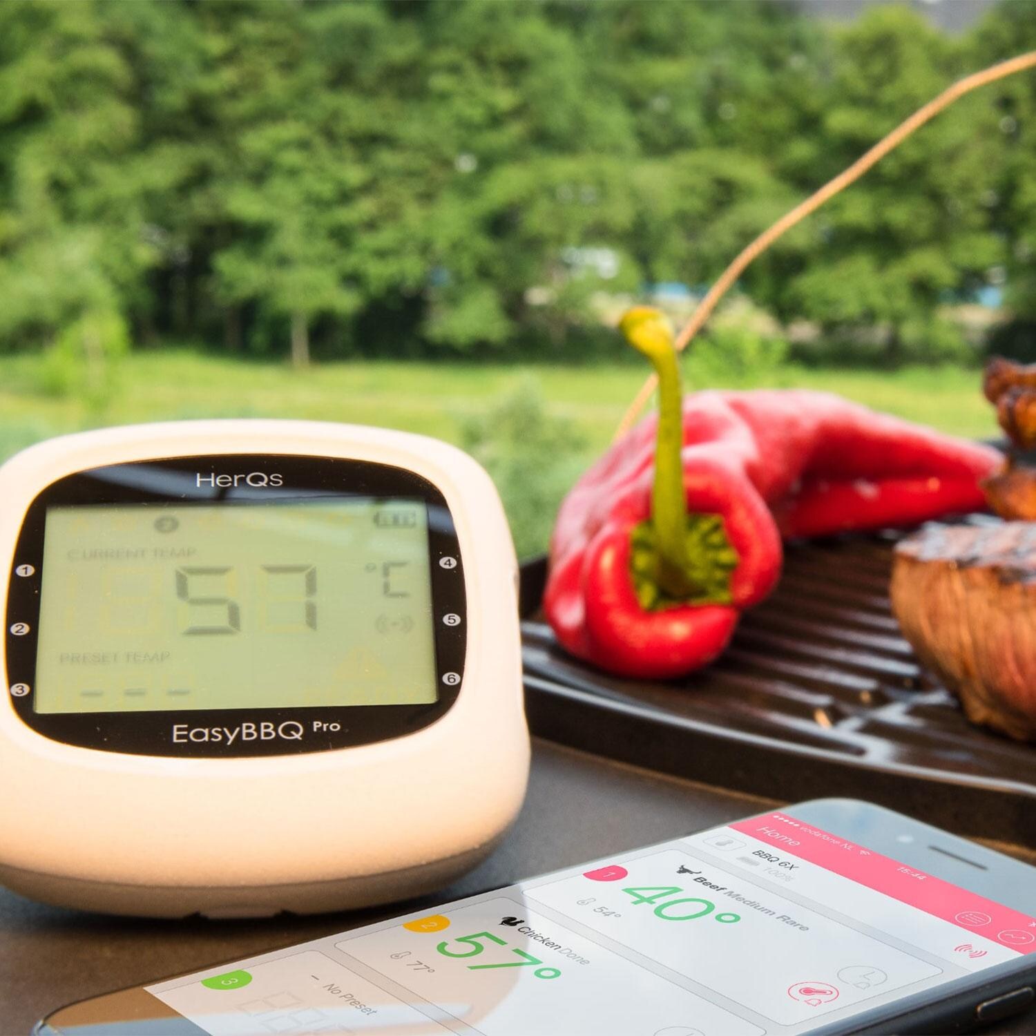 HerQs HERQS001 EasyBBQ Thermometer - App - Detail thumbnail