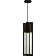 Hinkley Lighting Shelter One Light 22-Inch Dark Sky Outdoor Hanging Lantern - Buckeye Bronze - 1322KZ