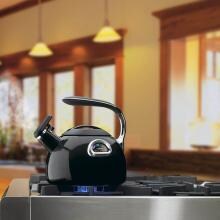 Cuisinart PTK330BK 3-Quart PerfecTemp Tea Kettle - Black image
