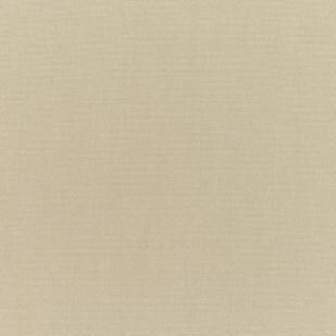 UltimatePatio.com 18 x 18 Sunbrella Outdoor Throw Pillow - Canvas Antique Beige thumbnail