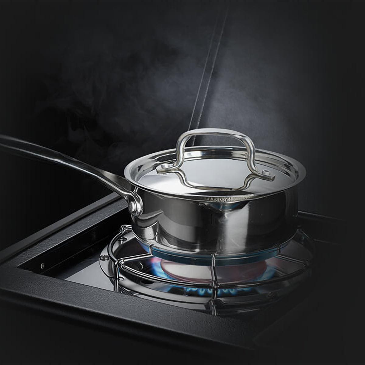 Napoleon Rogue 425 Propane Gas Grill with Range Side Burner Black