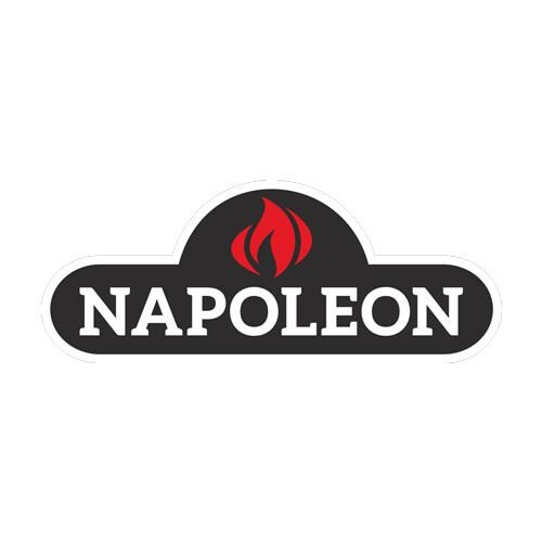 Napoleon Natural Gas Conversion Kit For PTH31GTSSP Bellagio Patio