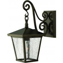 Hinkley Lighting Trellis One Light 15-Inch LED Outdoor Wall Light - Regency Bronze - 1430RB-LED